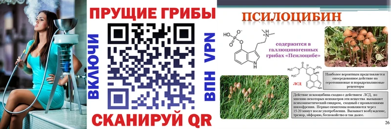 Псилоцибиновые грибы ЛСД Кудрово