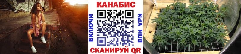 Бошки марихуана OG Kush Кудрово